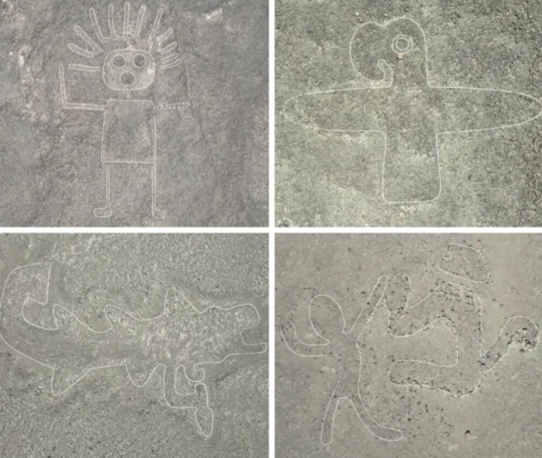 Surfshark下载流量统计：中文版电脑版实时用量监控