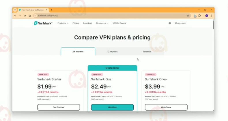 Surfshark官网博客VPN知识科普文章精选