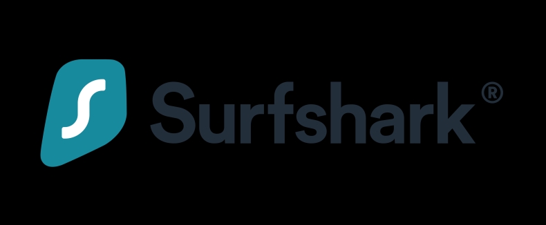 Surfshark中文版如何设置自定义DNS