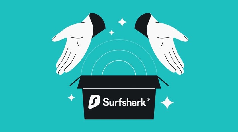 Surfshark官网企业解决方案咨询入口指引