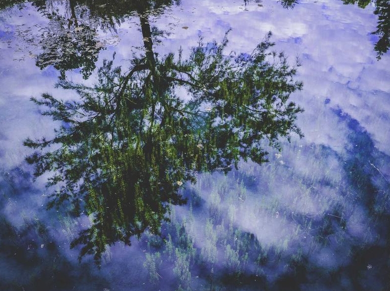 Surfshark路由器固件下载:官方OpenWRT配置文件获取