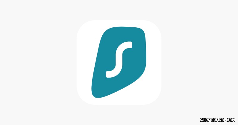 Surfshark VPN DNS泄漏保护测试结果分析