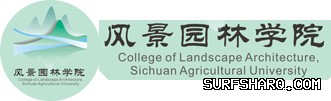 Surfshark中文版社交媒体中文官方账号运营 段落插图 2